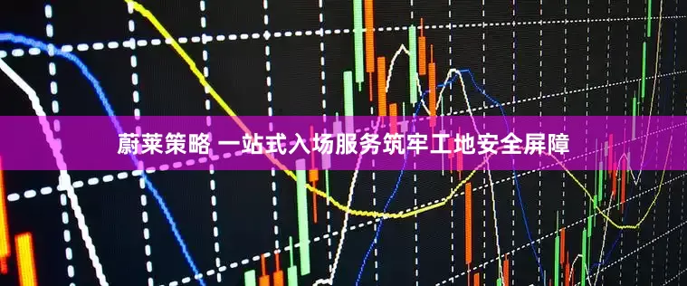 蔚莱策略 一站式入场服务筑牢工地安全屏障